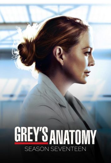 مسلسل Grey’s Anatomy موسم 17 كامل